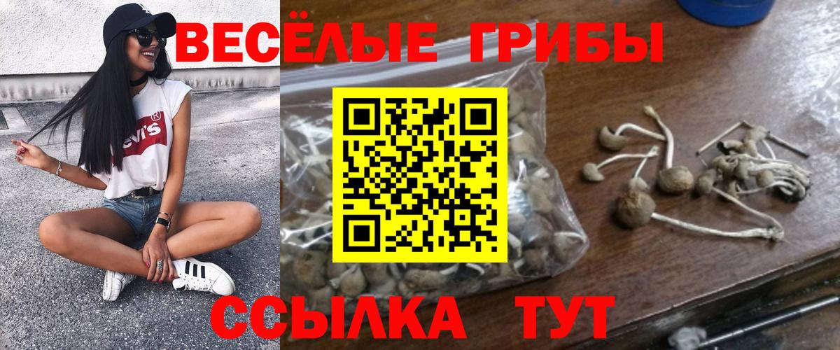 Галлюциногенные грибы Psilocybine cubensis Ивантеевка