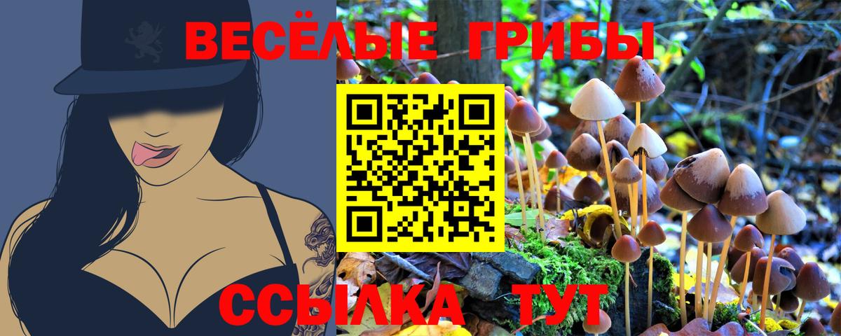 Ивантеевка  Псилоцибиновые грибы Magic Shrooms  Галлюциногенные грибы MAGIC MUSHROOMS  магазин продажи наркотиков  Вход с VPN 